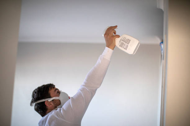 Professional Mold Removal in Lynchburg, MS