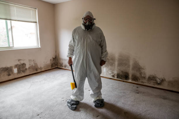 Best Attic Mold Removal  in Lynchburg, MS